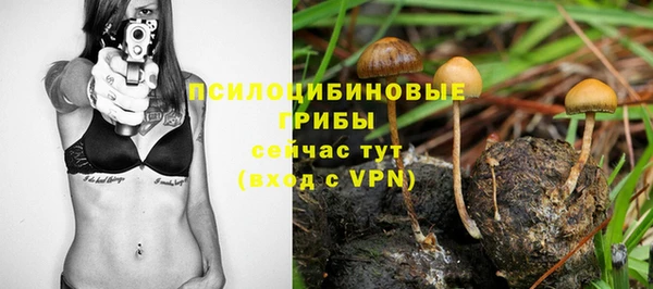 гашишное масло Михайлов